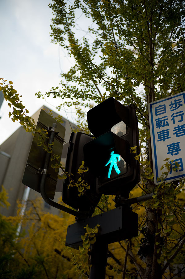 もう一つの記憶