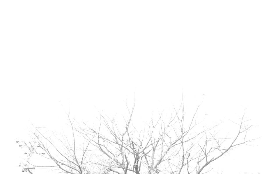 もう一つの記憶