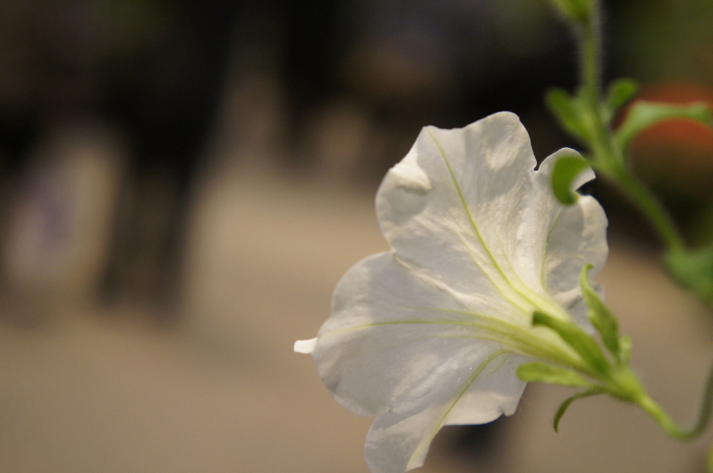 point to stare at..2