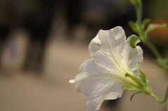 point to stare at..2