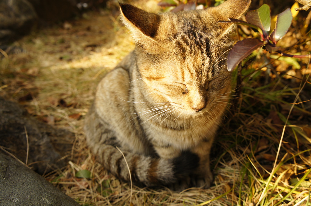 まぶしい。。