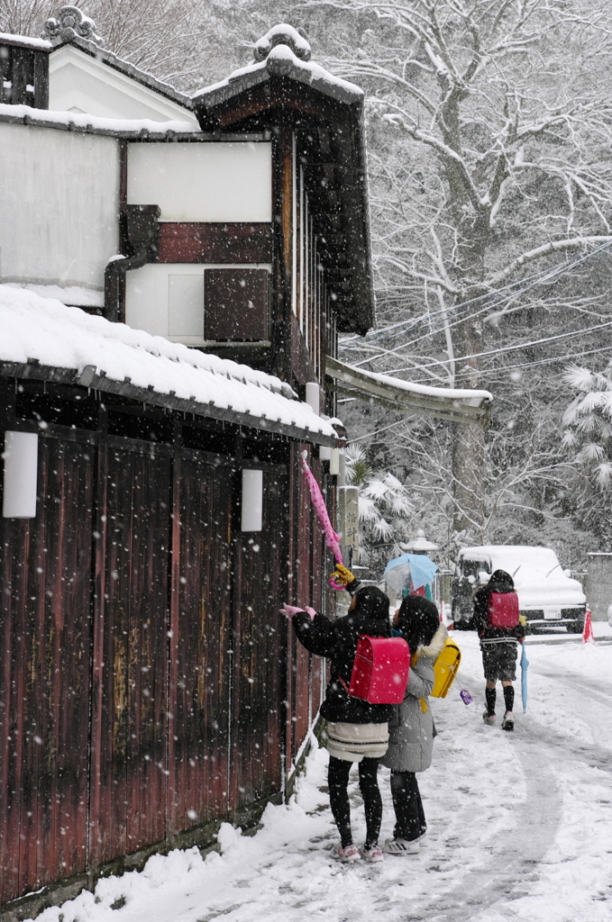 雪ちょうだい