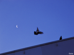 You can Fly.