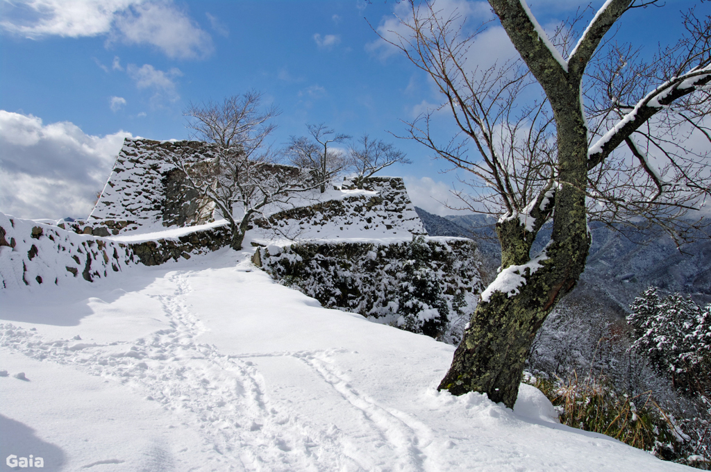 雪の竹田城跡