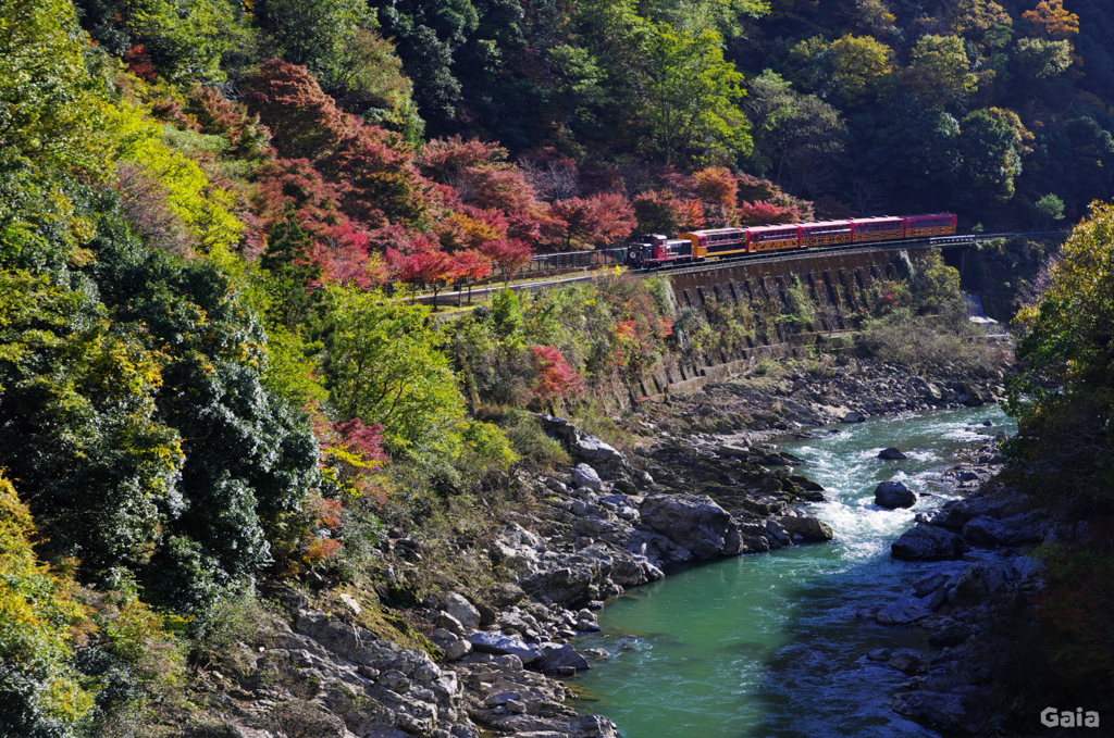 トロッコ列車