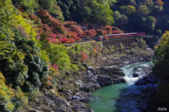 トロッコ列車