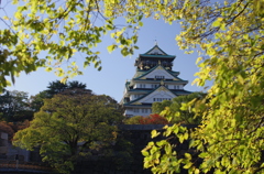 晩秋の大阪城