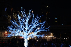 中之島光のルネサンス