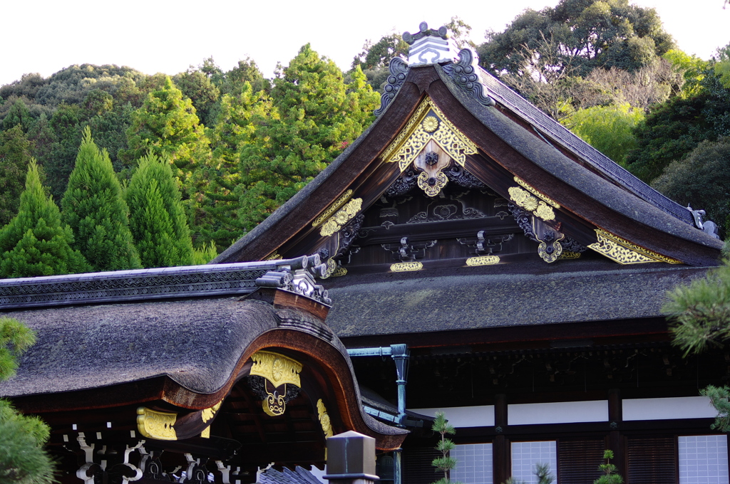 泉湧寺