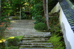東福寺