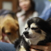 安眠？