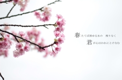 i read for you