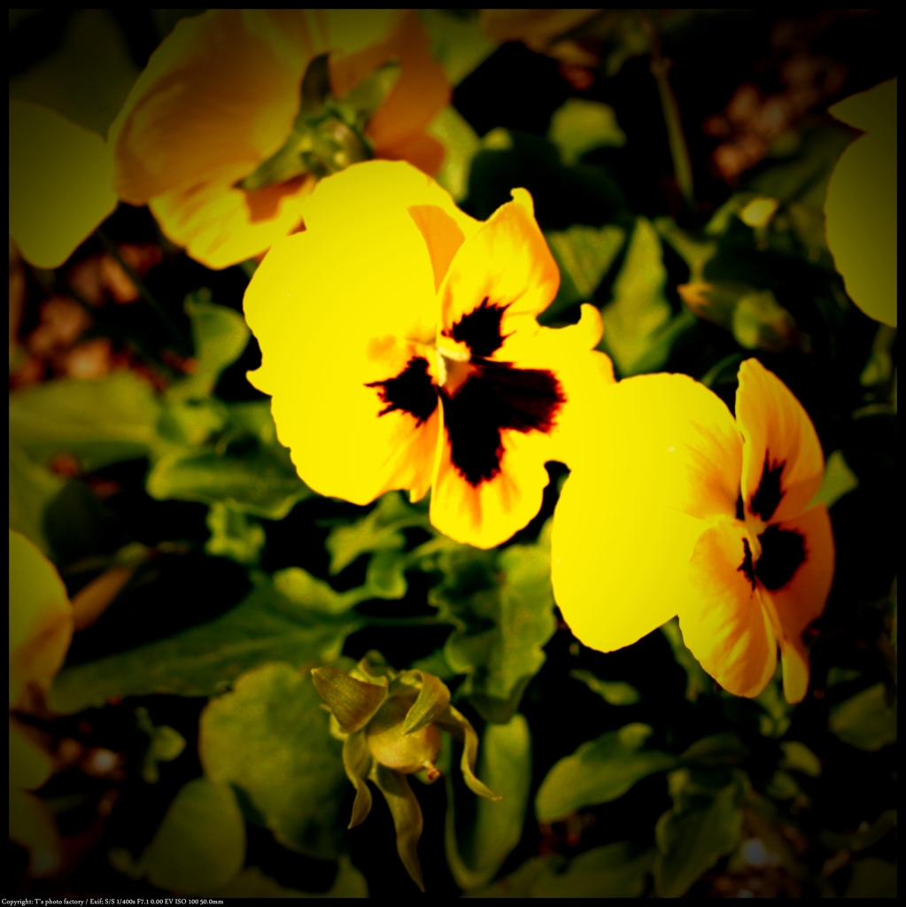 011