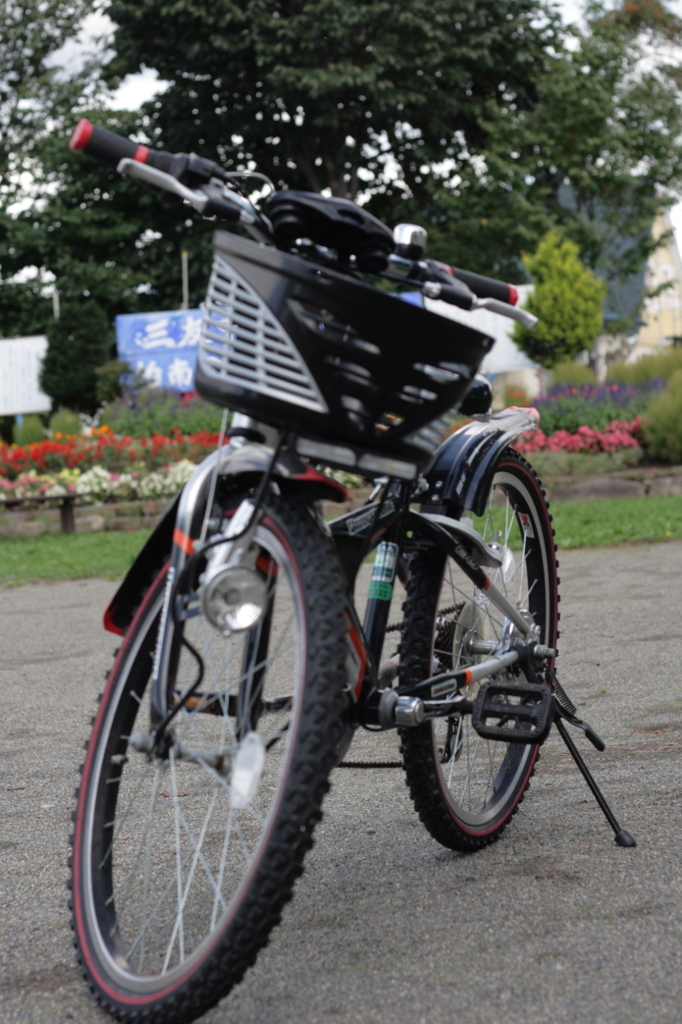 物置にしまった自転車は、来年まで使えなくなった。