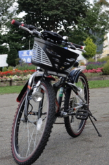 物置にしまった自転車は、来年まで使えなくなった。