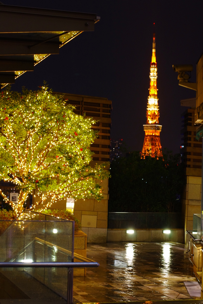 あ！東京タワーだ！