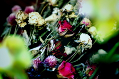 Dried flower