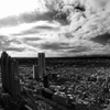 cool　metropolis