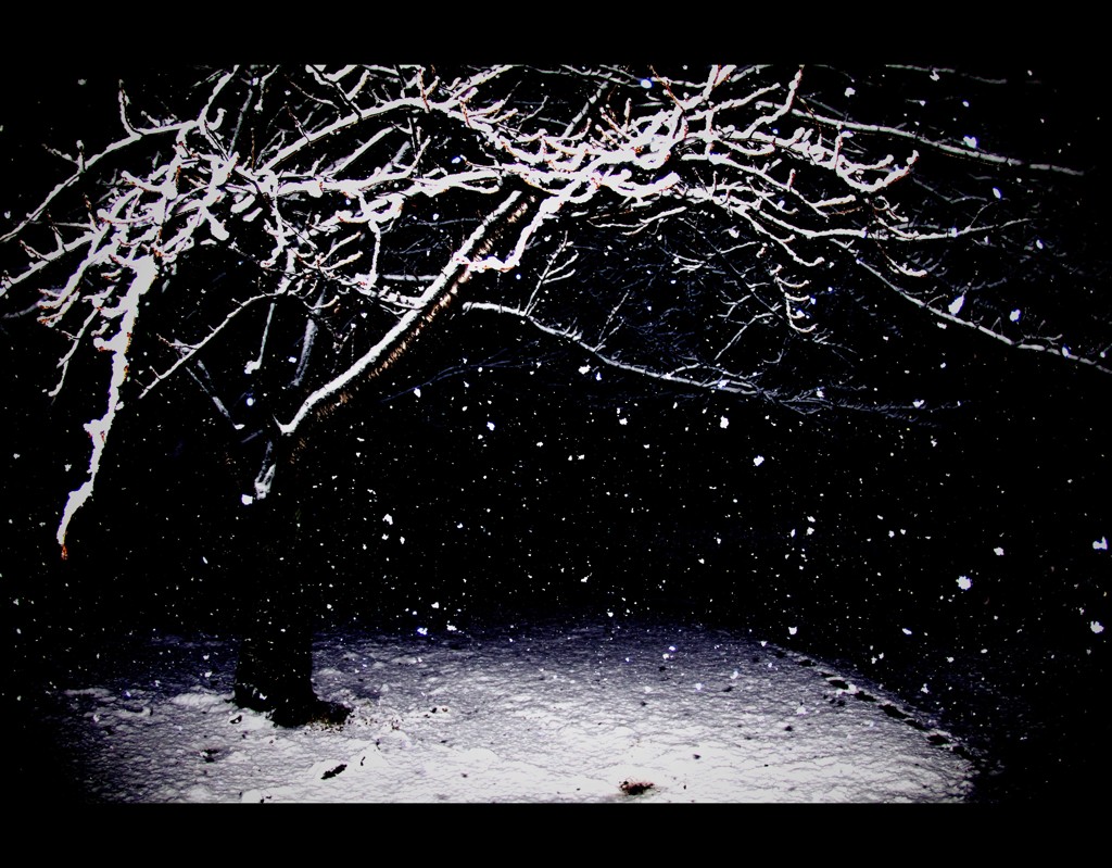 想雪