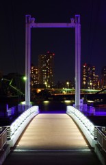 purple　bridge