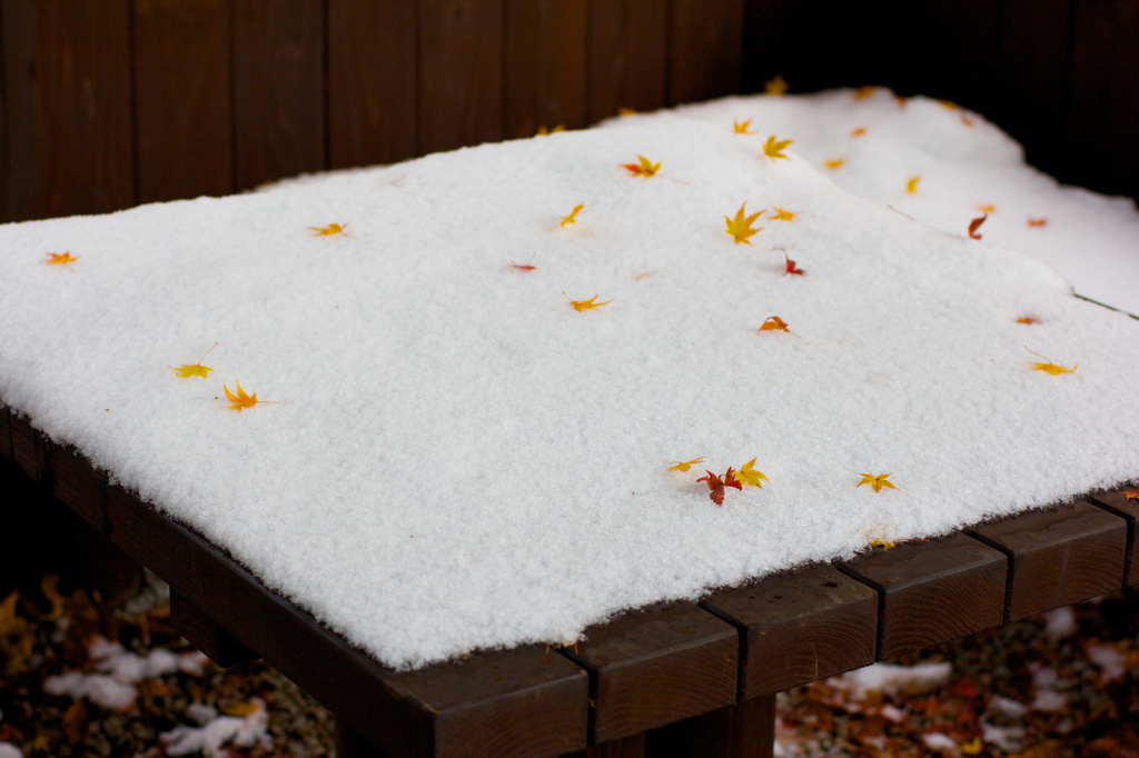 雪のクロスと踊る紅葉