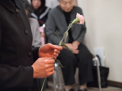 献花.