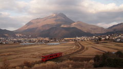 ﾚﾄﾛｼﾃｨ.