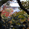 紅黄緑