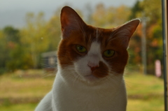 文太と申します