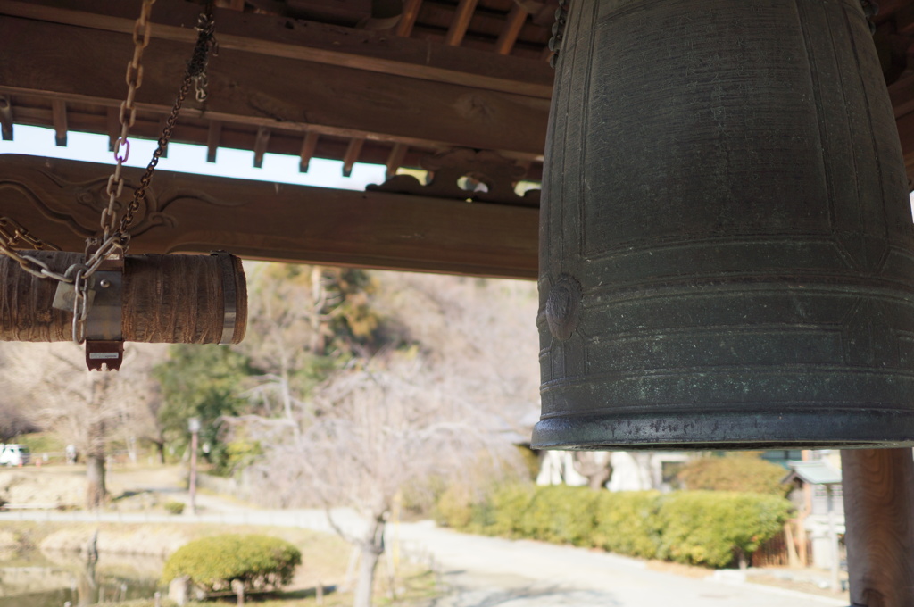 祝！世界遺産候補「称名寺」6