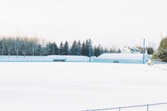 冬の野球場
