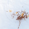 雪の上に