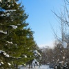 雪山