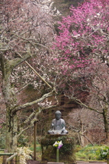 待ち焦がれてⅠ（鎌倉東慶寺)