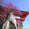 春の訪れ