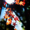 天照