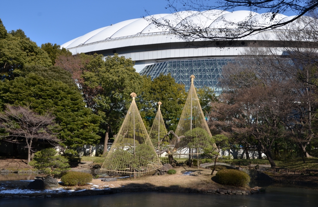 東京ドーム