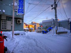 太陽出た。学校光ってた