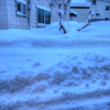 まーたまたまた雪ふったべよ