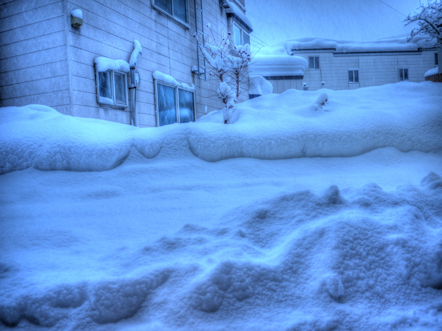 雪ふる青森