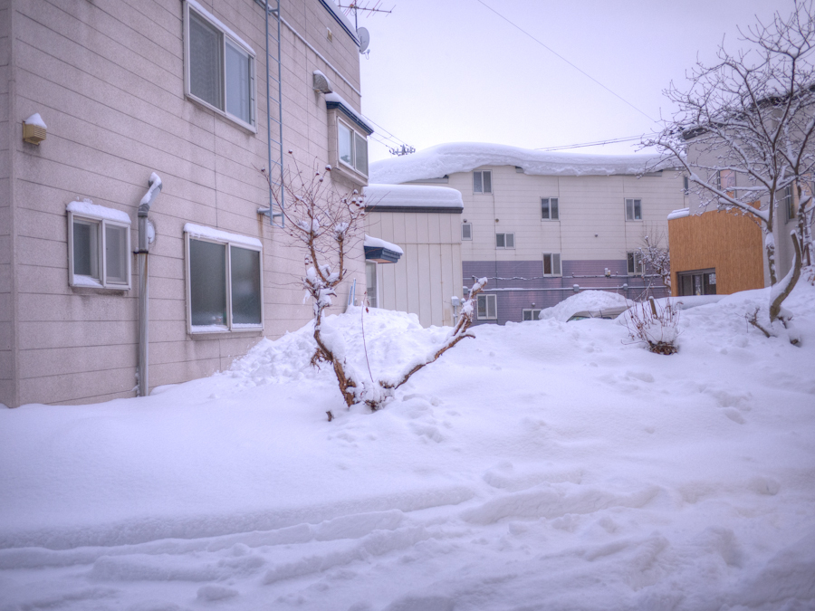 まーた雪ふったべよ