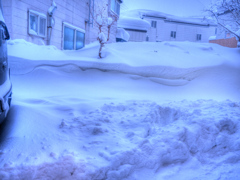まぁ雪です。