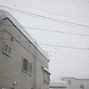 雪