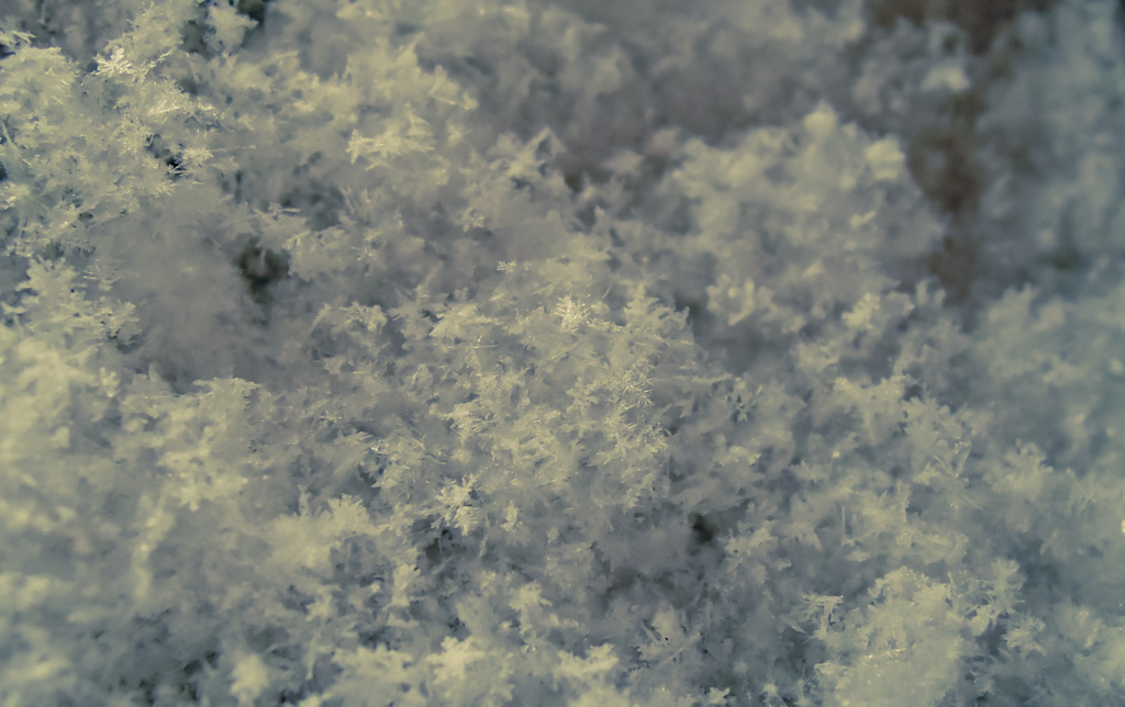 雪の華