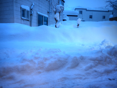 雪ふった