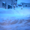 雪ふった