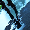 水たまり
