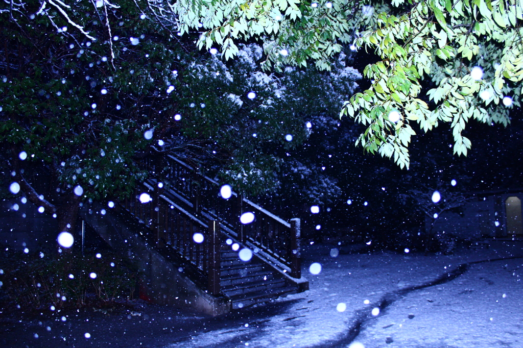 雪幻