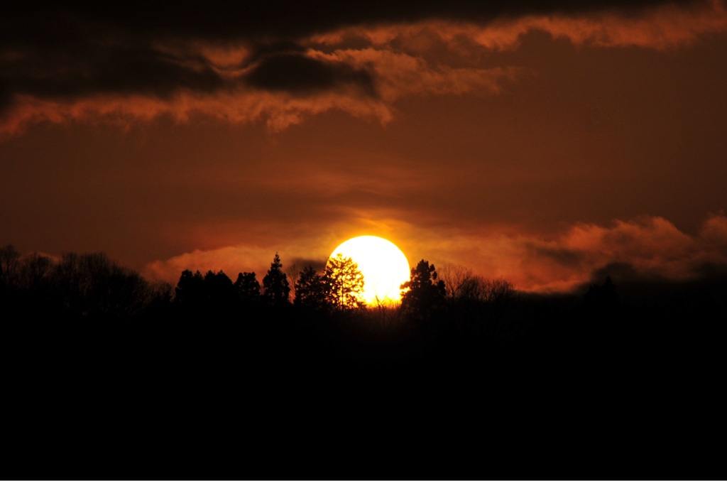 夕日