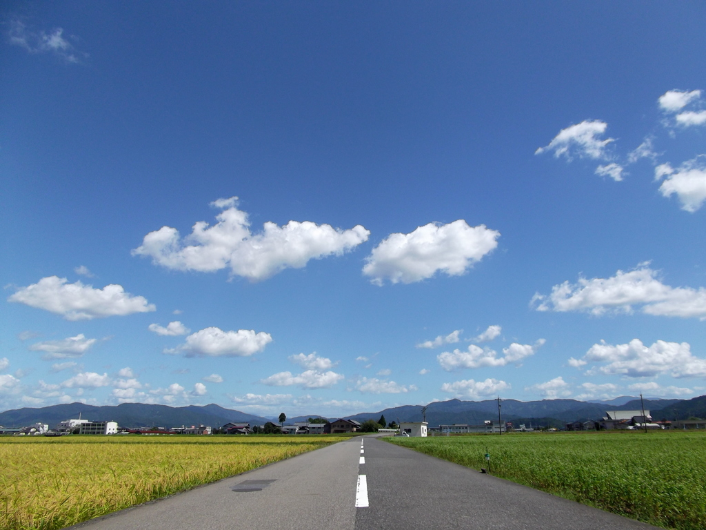 田舎道